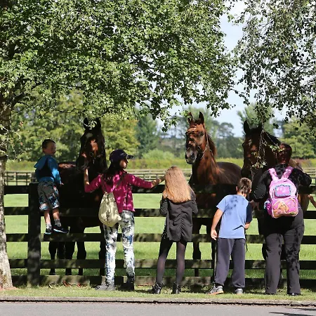 Silken Thomas 4* Kildare