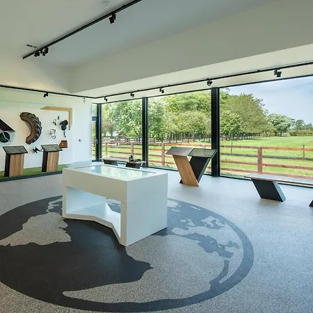 Affittacamere Silken Thomas 4*