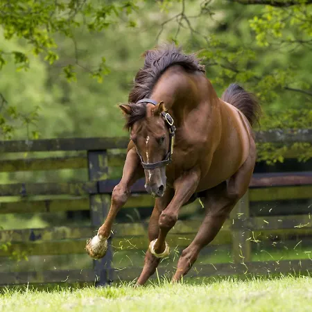 Affittacamere Silken Thomas 4*