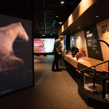 Affittacamere Silken Thomas