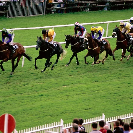 招待所 Silken Thomas 基尔代尔