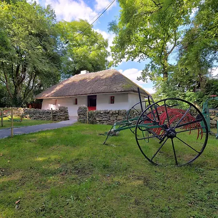 Silken Thomas Gasthof Kildare
