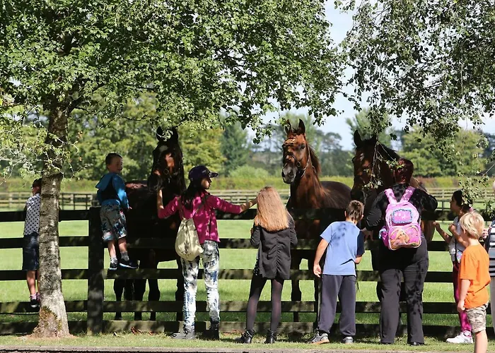 Silken Thomas 4* Kildare