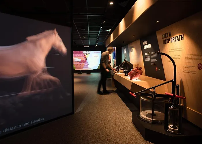 Gæstehus Silken Thomas