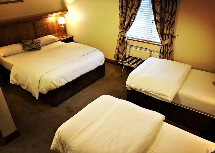 Silken Thomas 4* Kildare