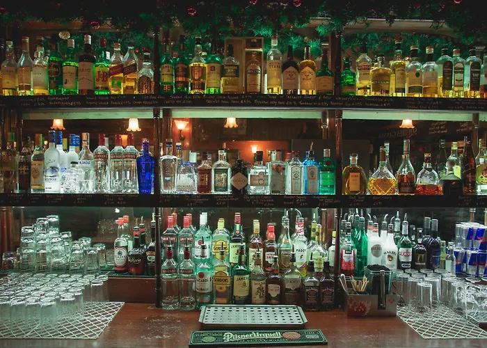 Silken Thomas Gæstehus Kildare