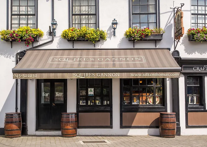 Guest house Silken Thomas Kildare