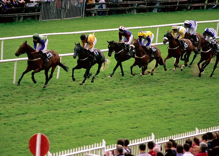 Πανσιόν Silken Thomas Kildare